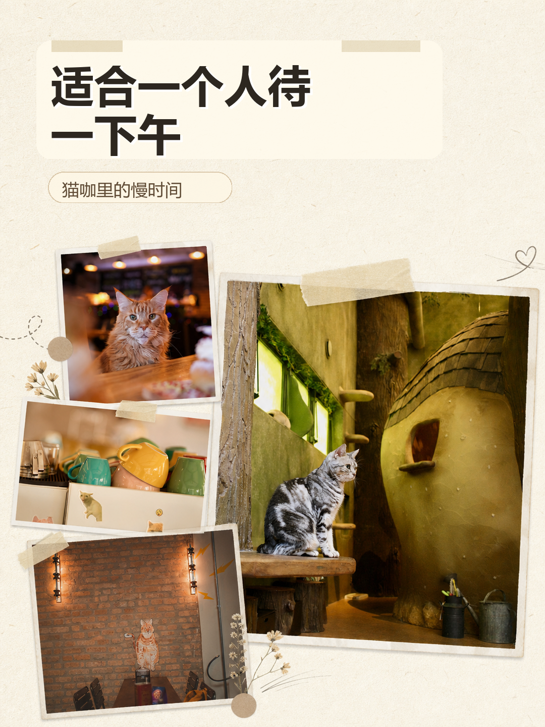 V3 图文样例 11
